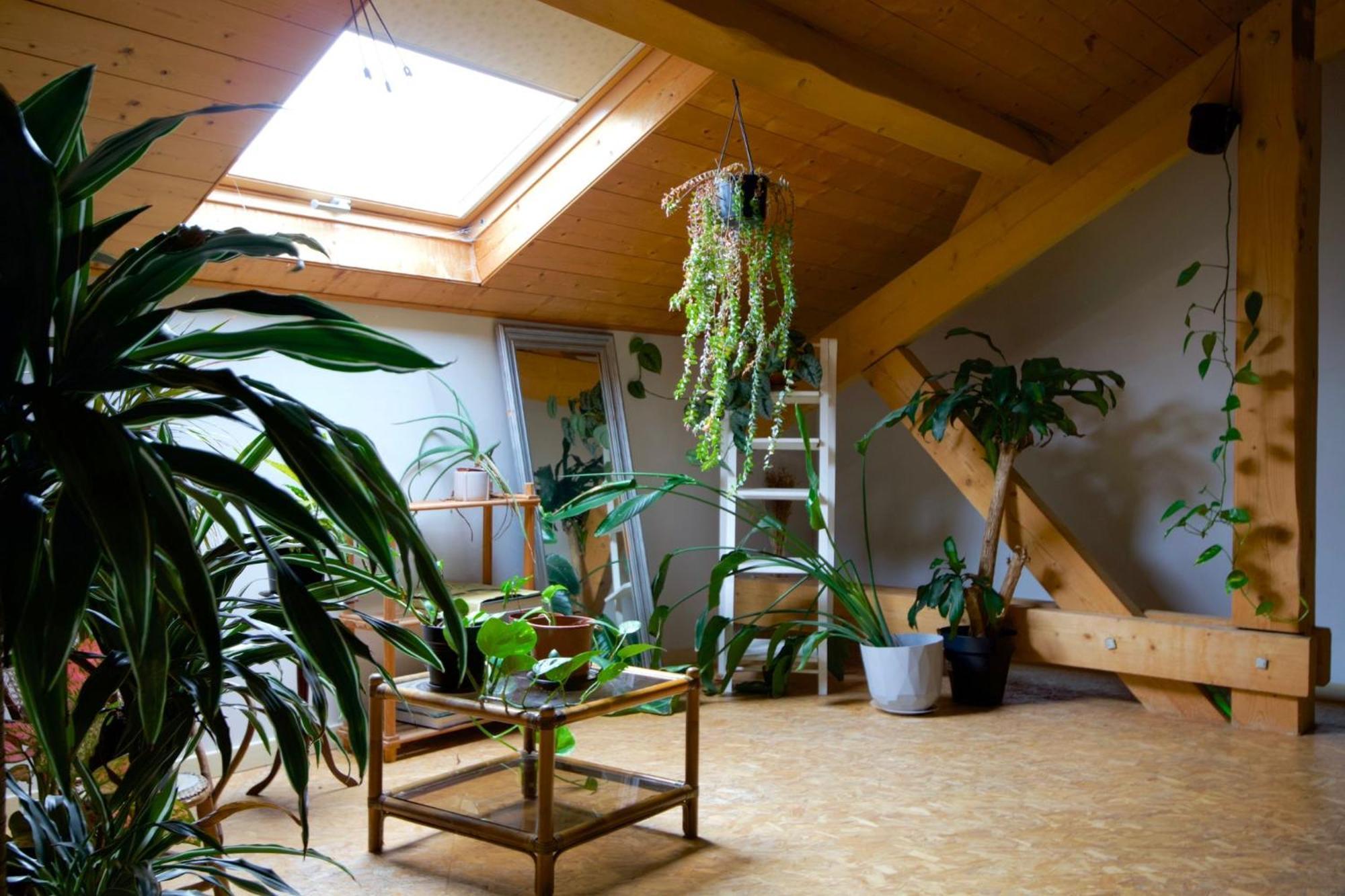 Loft Haut De Gamme Entre Verdure Et Ville Chaudefontaine  Buitenkant foto
